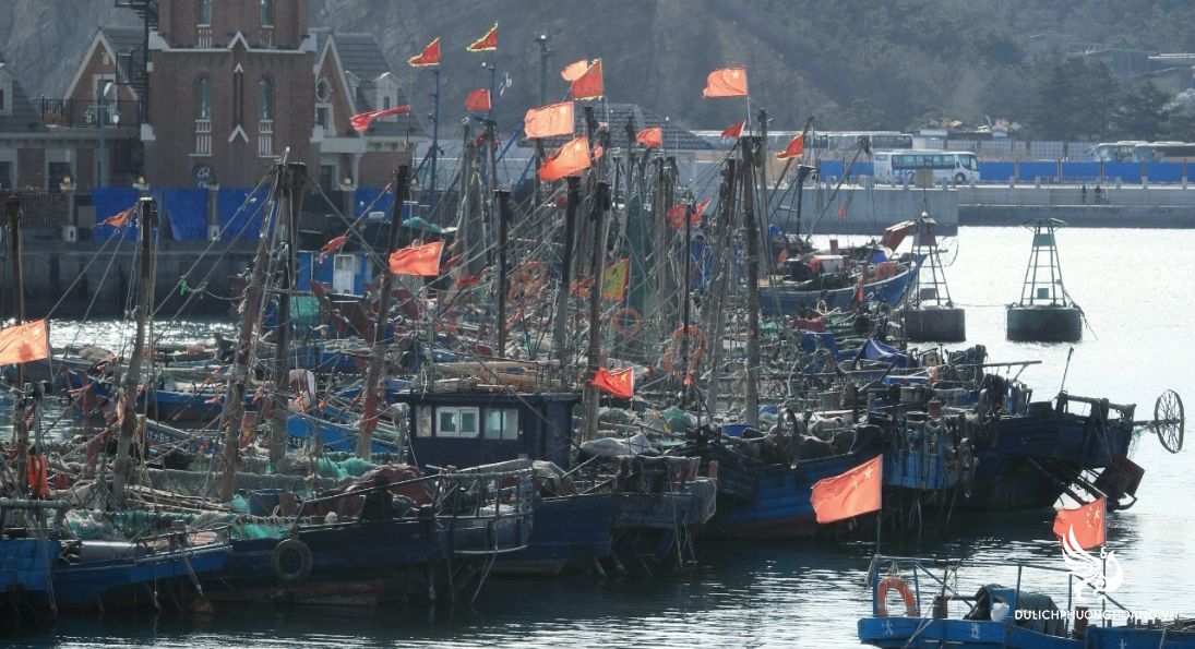 tour-thanh-dao-6n5d-|-thanh-dao-yen-dai-dai-lien-tham-duong_11